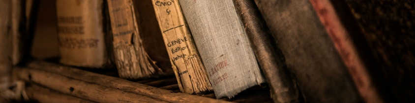 Digital Exhibits Banner